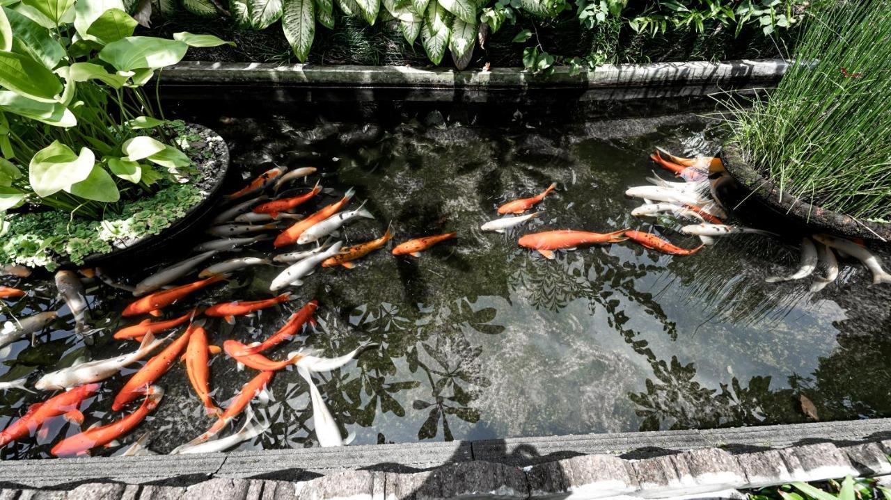 Gunung Merta Bungalows Ubud Esterno foto